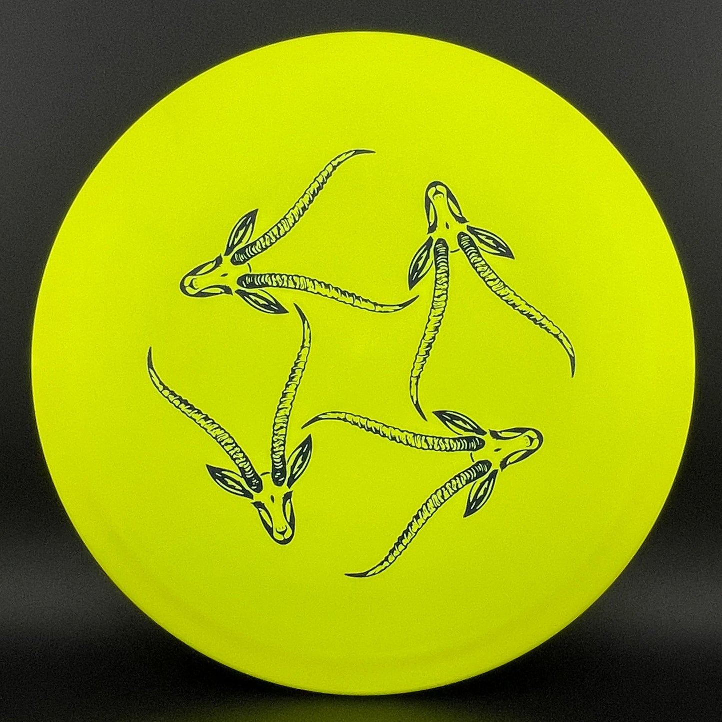 Star Gazelle - Limited Edition