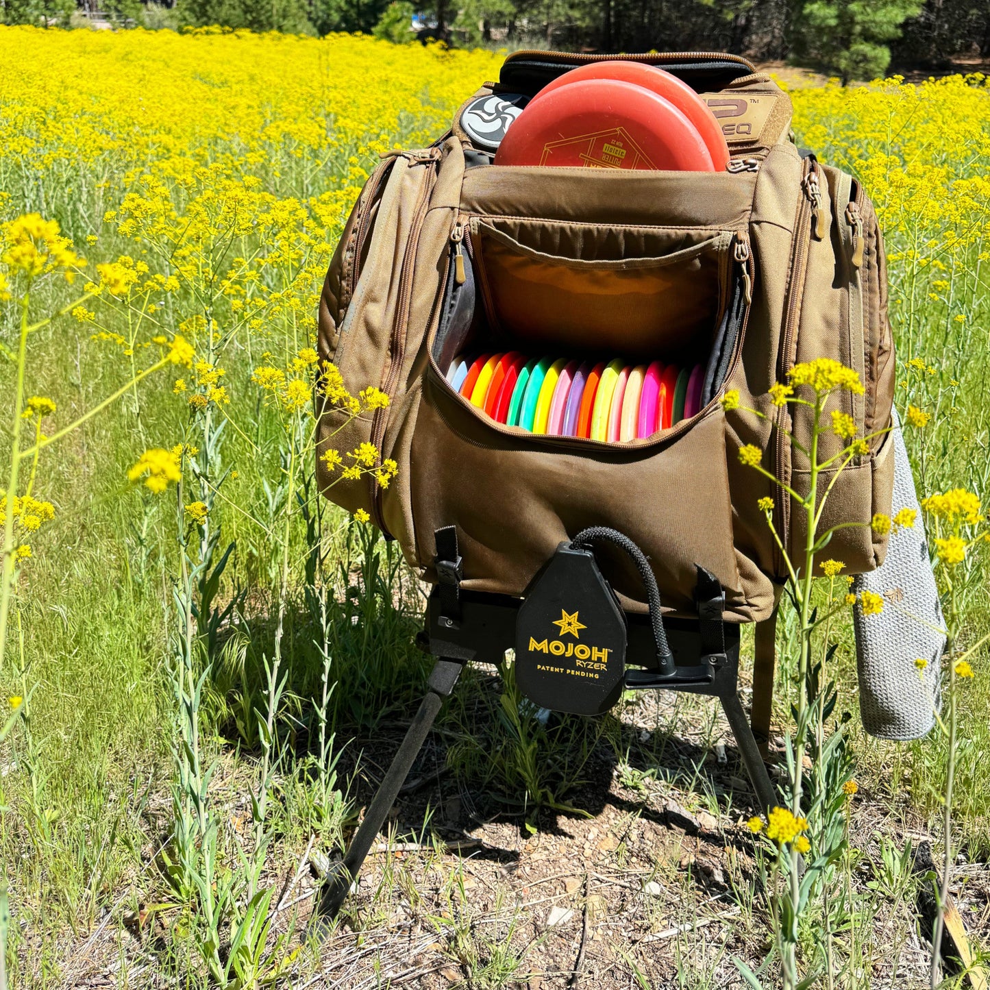 The Original Disc Golf Ryzer
