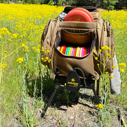 The Original Disc Golf Ryzer