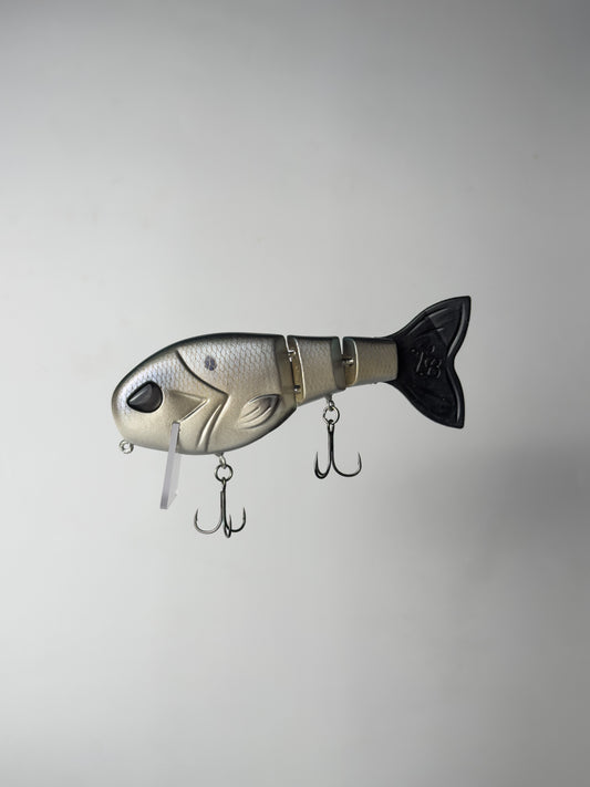 "CW Gizz" WakeWalker