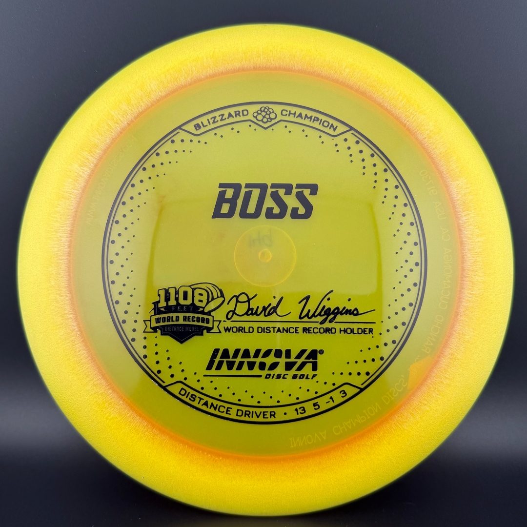 Blizzard Champion Boss - David Wiggins Jr 1108 World Record
