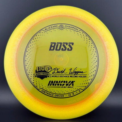 Blizzard Champion Boss - David Wiggins Jr 1108 World Record