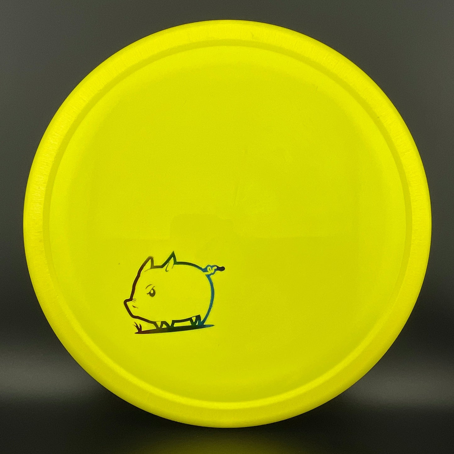Star Pig - Mini Pig Stamp
