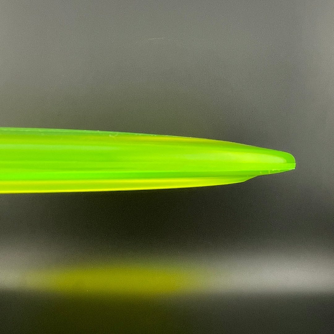 Champion FL (Penned) - F2