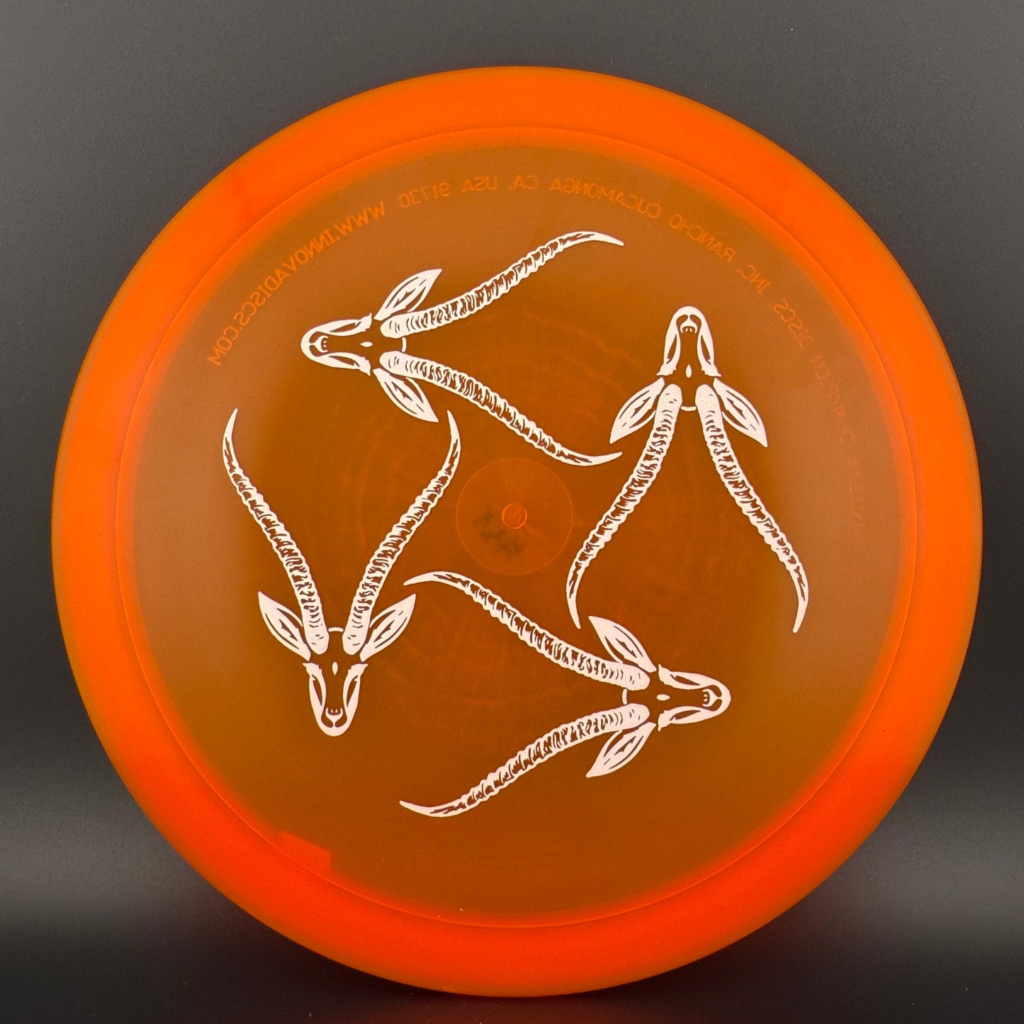 Champion Gazelle - Artist's Corner
