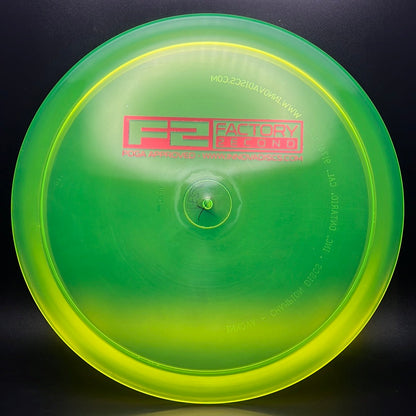 Champion Whippet X - F2 - OOP
