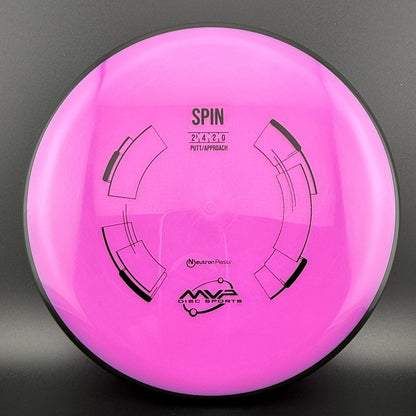 Neutron Spin