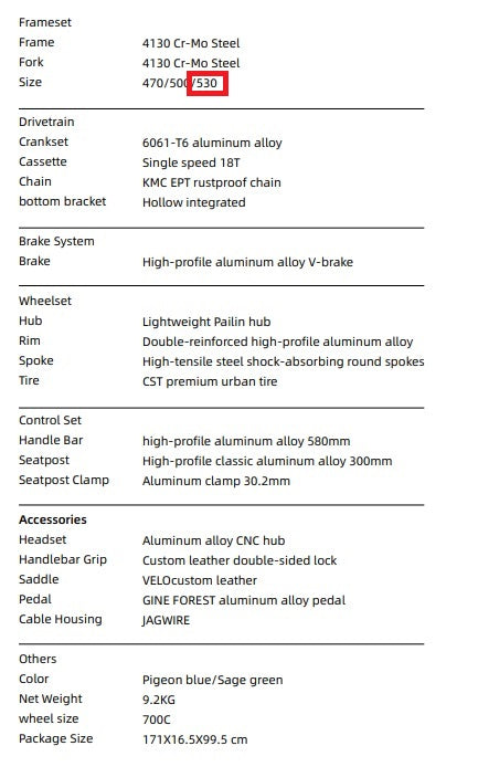 EIRA Trendy Urban Commuting Retro Steel Frame Bicycle Single-speed