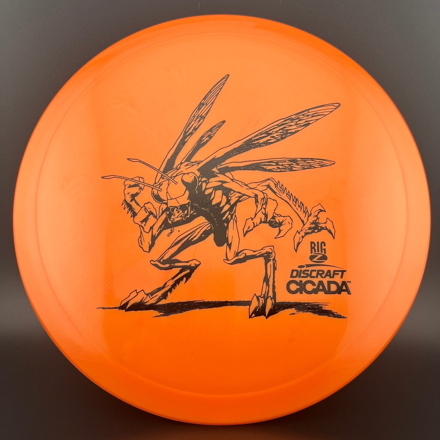 Big Z Cicada