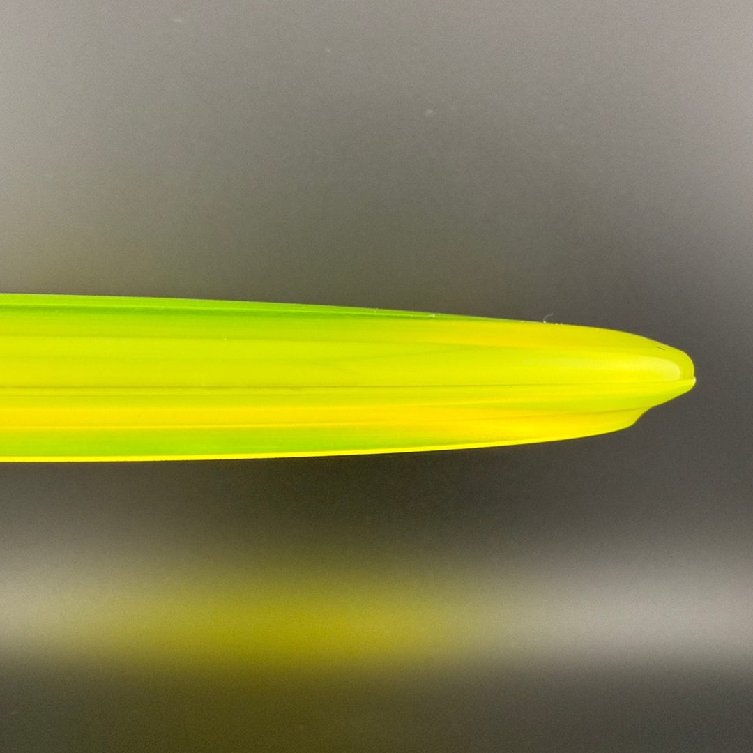 Champion Shark3 (Penned) - F2