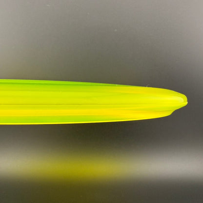 Champion Shark3 (Penned) - F2