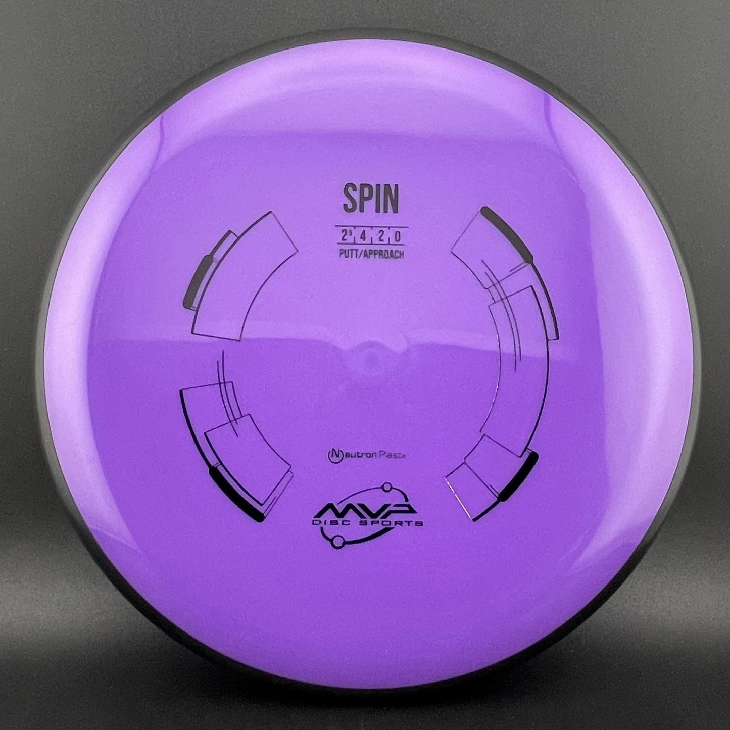 Neutron Spin