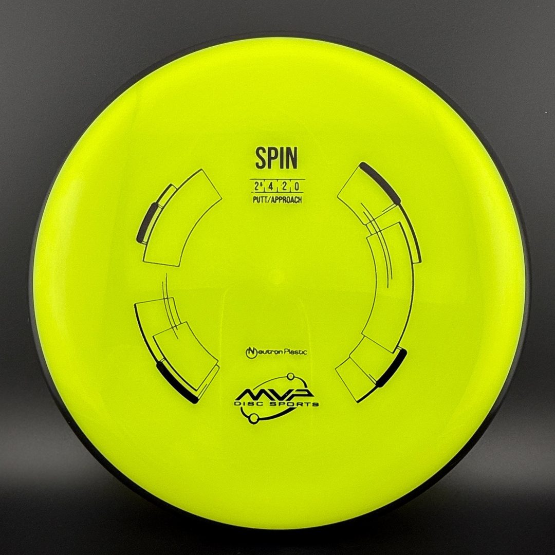 Neutron Spin