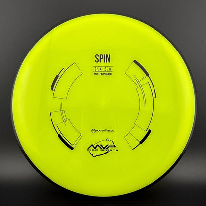 Neutron Spin
