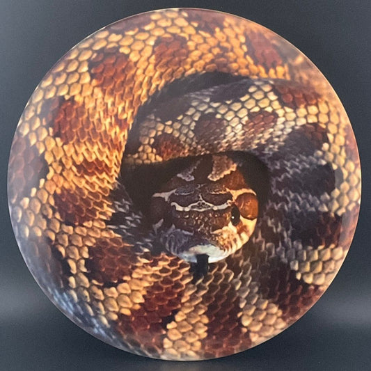 Fuzion Justice - "Rattlesnake" DyeMax