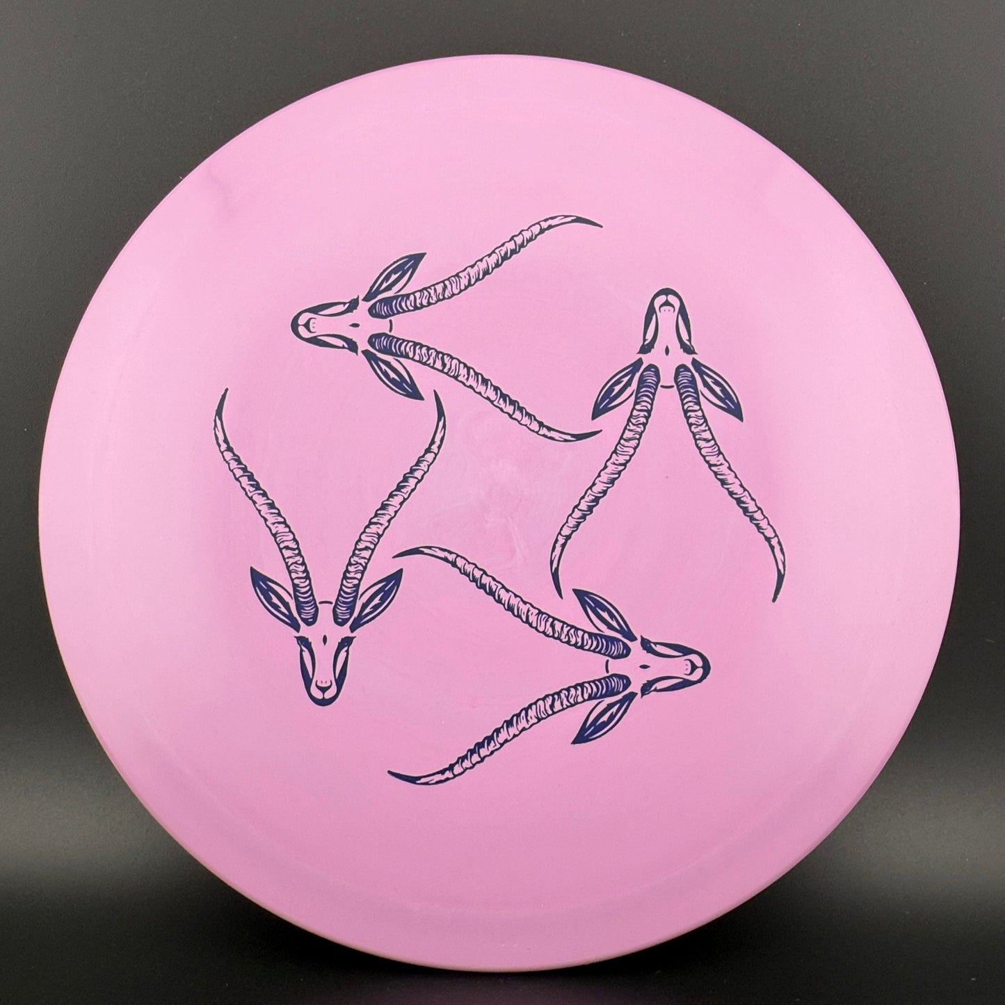 Star Gazelle - Limited Edition