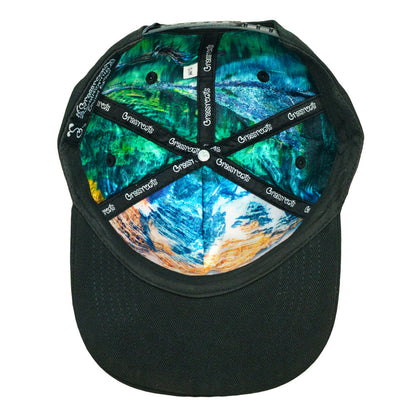 Blue Geo Bear Black 501 Snapback Hat