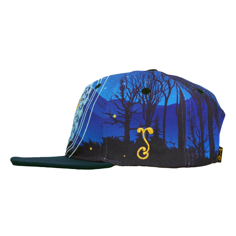 Key to the Forest Navy Blue Snapback Hat