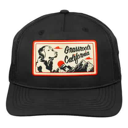 Grasswoofs Retriever Black Mesh 501 Snapback Hat
