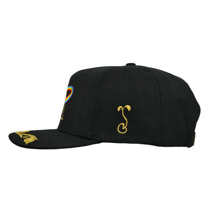 Pink Floyd DSOTM Black 501 Snapback Hat