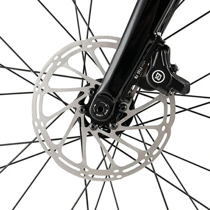 LynxFox - Carbon Fiber Road Bike