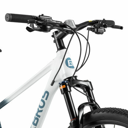 MT300-Mountain Bike