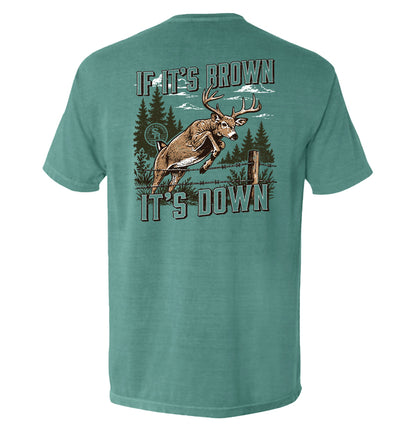 If It's Brown It's Down