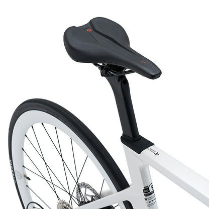 CTR - Carbon Fiber Road Bike-White
