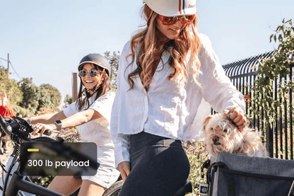 Aventon PACE 500.3 Step-Thru E-Bike