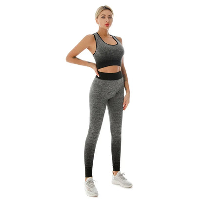 2-Piece Yoga Set with Elastic Sports Bra
