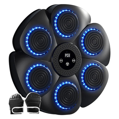Improve Your Reflexes  Music Boxing Target with Gloves