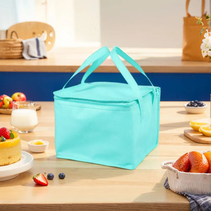 Insulated Food Delivery Reusable Thermal Picnic & Lunch Bag