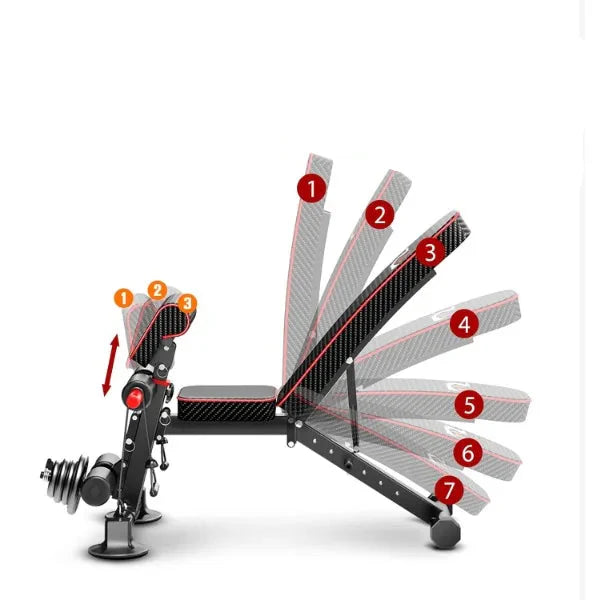 Versatile Workout Solution  Adjustable Weight Bench