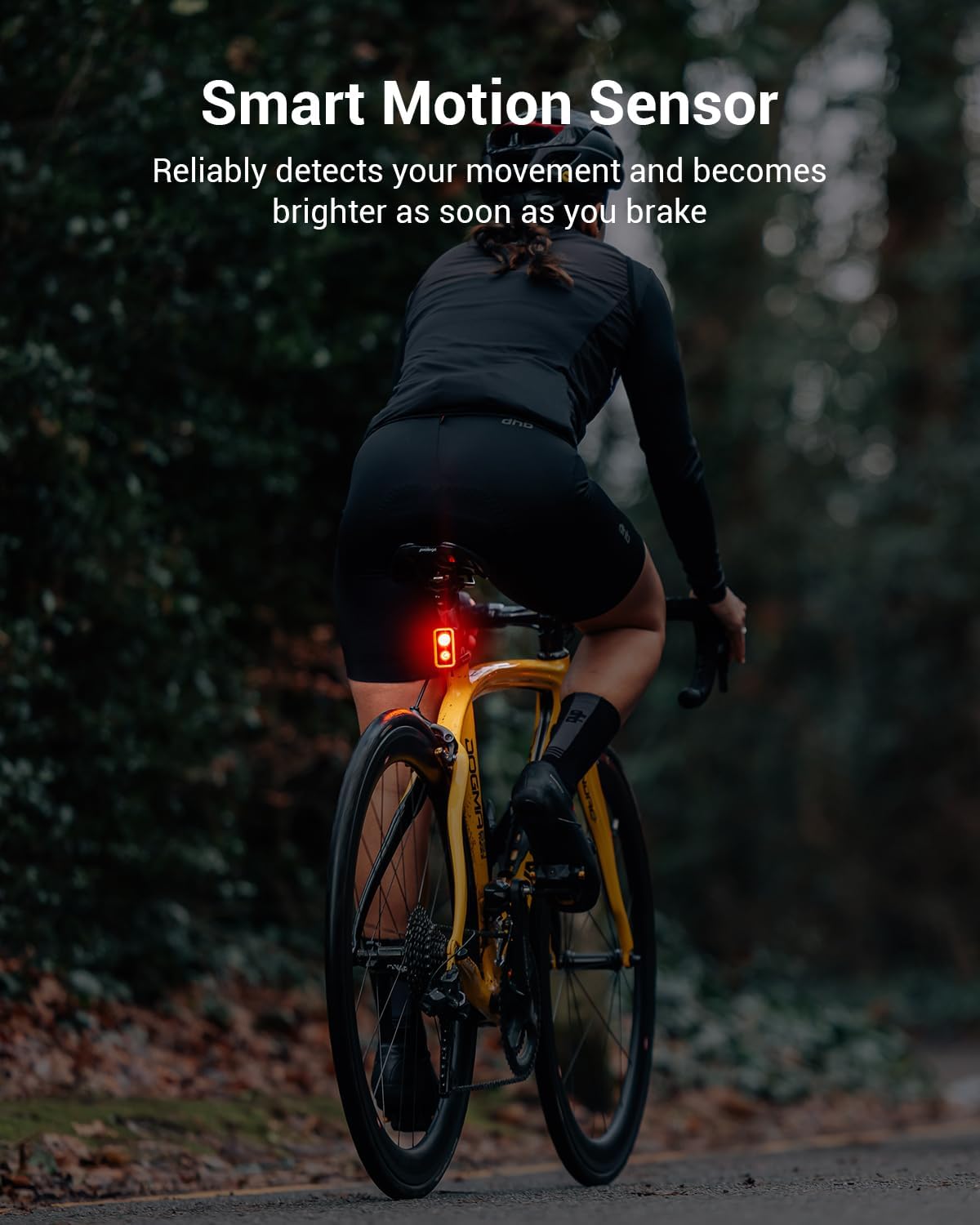 Magicshine SEEMEE 300 Bike Taillight,300 Lumen Bike Tail Light,5 Night & Daytime Modes,Smart Brake Sensor IPX6 Waterproof USB-C Rechargeable Rear Bike Light for Night Riding