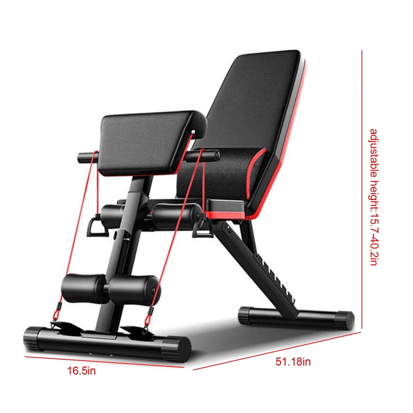 Home Gym Supine Board with Weight Capacity