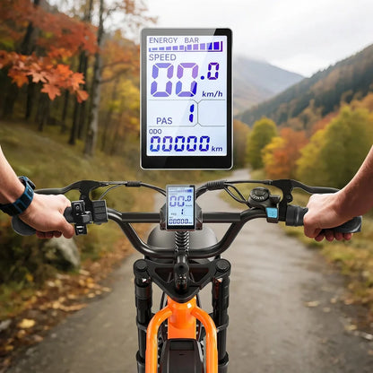 Fat Tire Electric Bike for Adults All-Terrain Dual Suspension