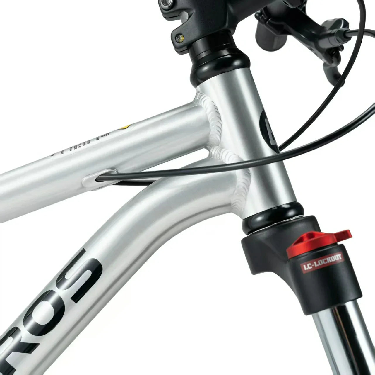 Darwin V 26-Inch Mountain Bike