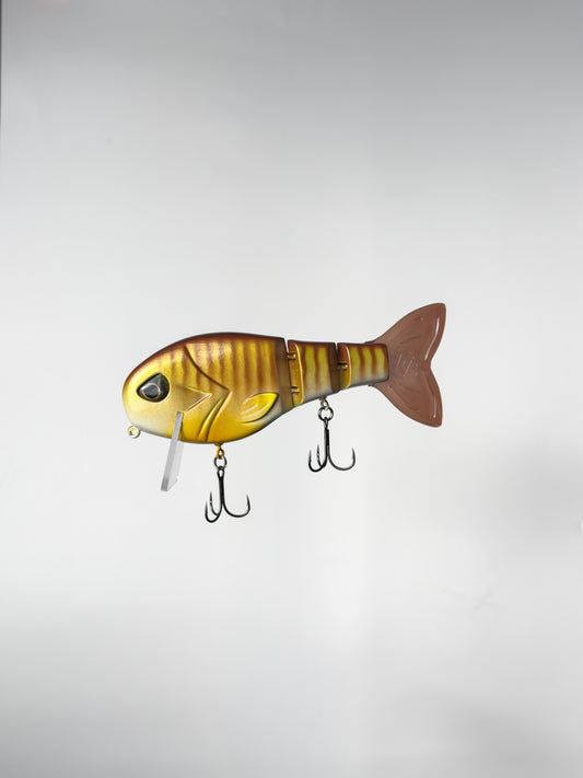 "Summer Gill" WakeWalker