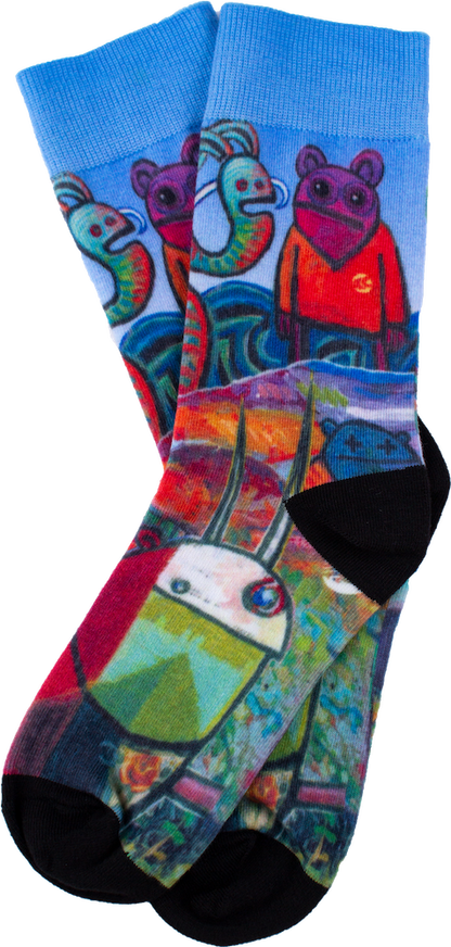 Cabrinha Artist Socks