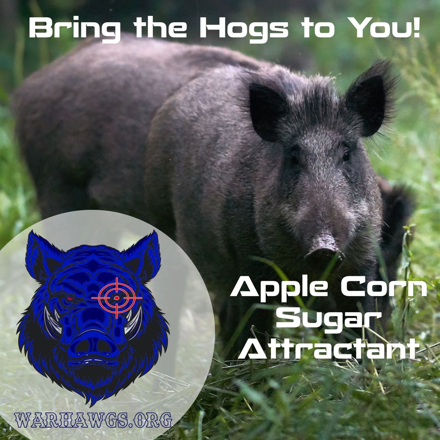 Realtree Fatal Attraction Warhawg Wild Hog Attractant – Apple Corn 16oz