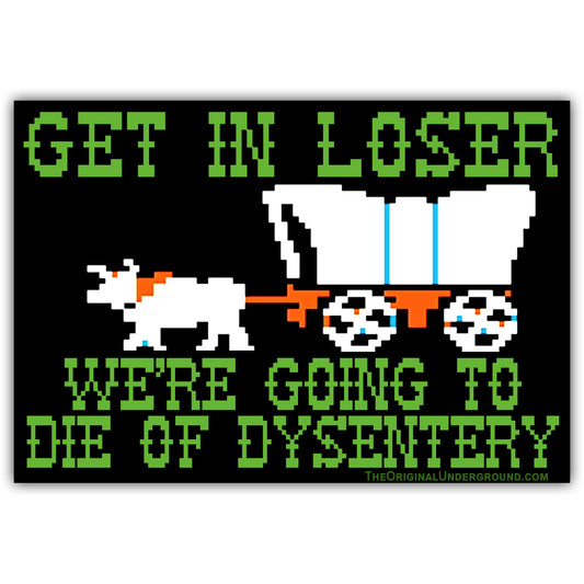 We're Going to Die of Dysentery "Oregon Trail" Flexible Magnet