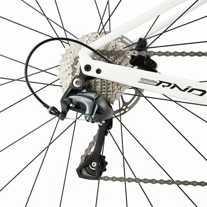 LynxFox - Carbon Fiber Road Bike