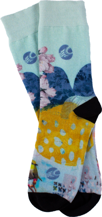 Cabrinha Artist Socks
