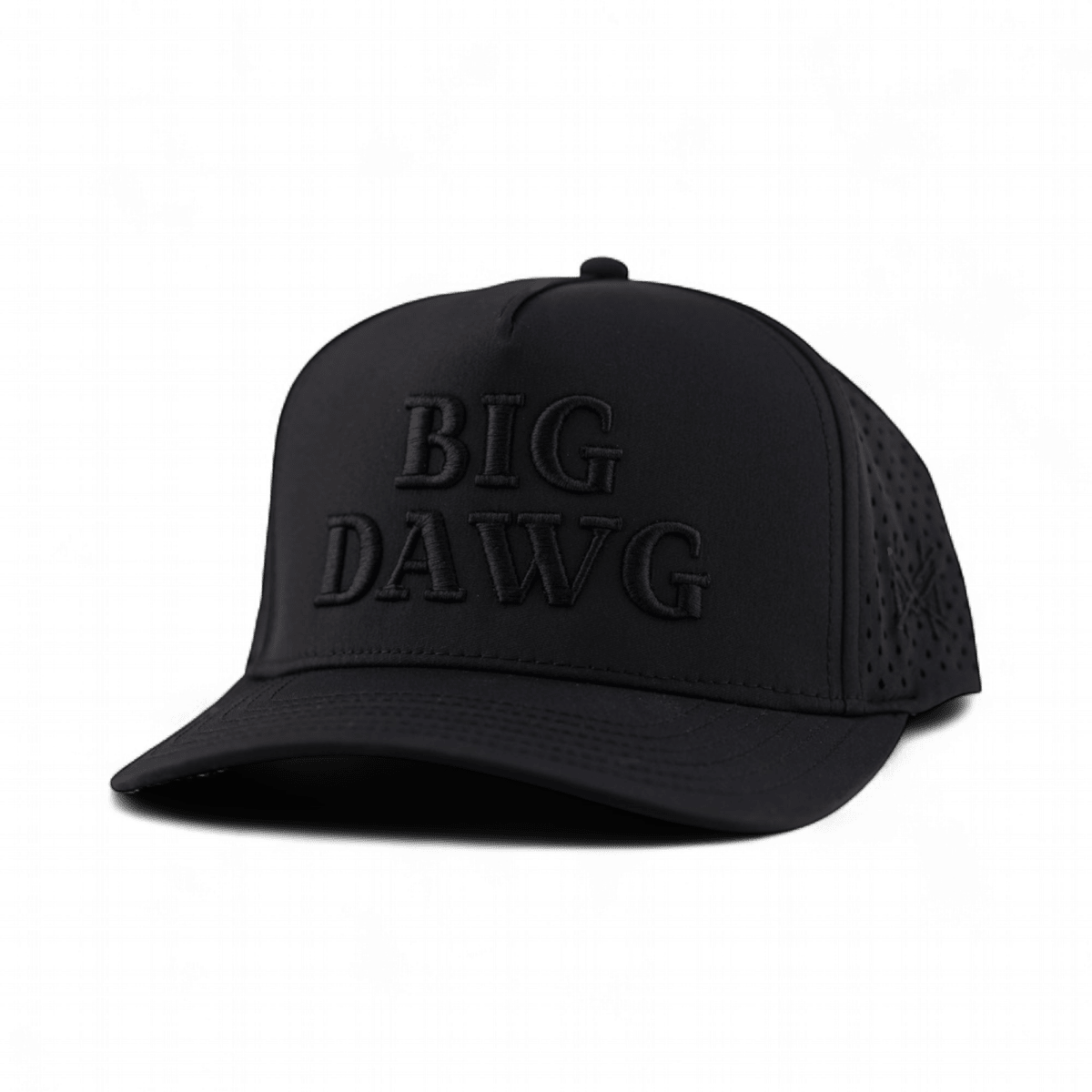 Big Dawg Snapback Hat