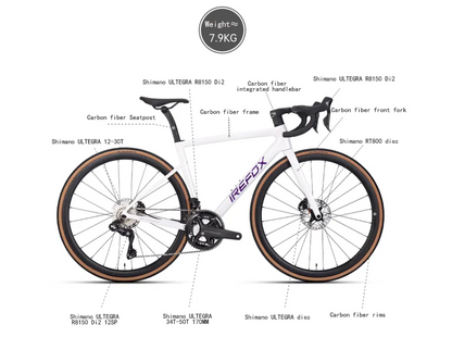 LANGTU Folding Bike 20“ inch