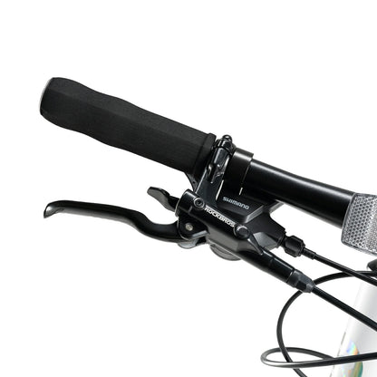 ROCKBROS RIDA P2E Series Road Bike